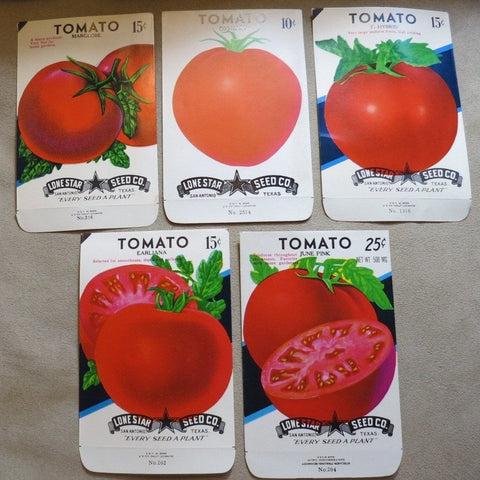 Garden Collectibles: Vintage Seed Package Set 1 of 5 Vintage Tomato Seed Packs (No Seeds - Collectible Pack Only)