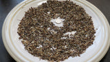 Wildflower Seed Mix (One Ounce) for Birds, Beneficials, Bees & Butterflies