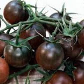 Tomato Seeds Cherry Black (Heirloom)